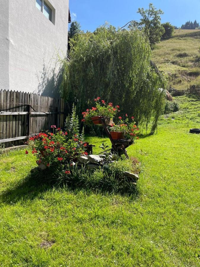 Casa Anastasia - Moieciu De Sus Moeciu De Sus Exteriör bild
