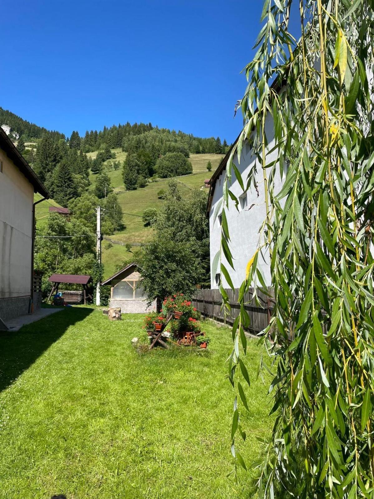 Casa Anastasia - Moieciu De Sus Moeciu De Sus Exteriör bild